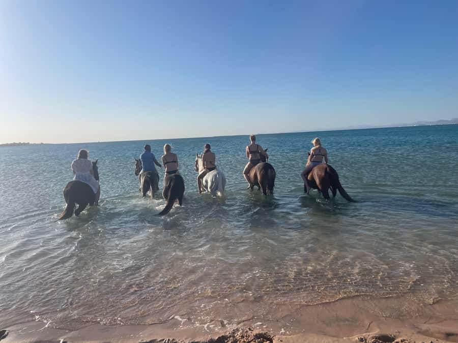 Soma Bay: Horse Riding Beach and Desert Tour With Transfer - Practical tips for a smoother outing