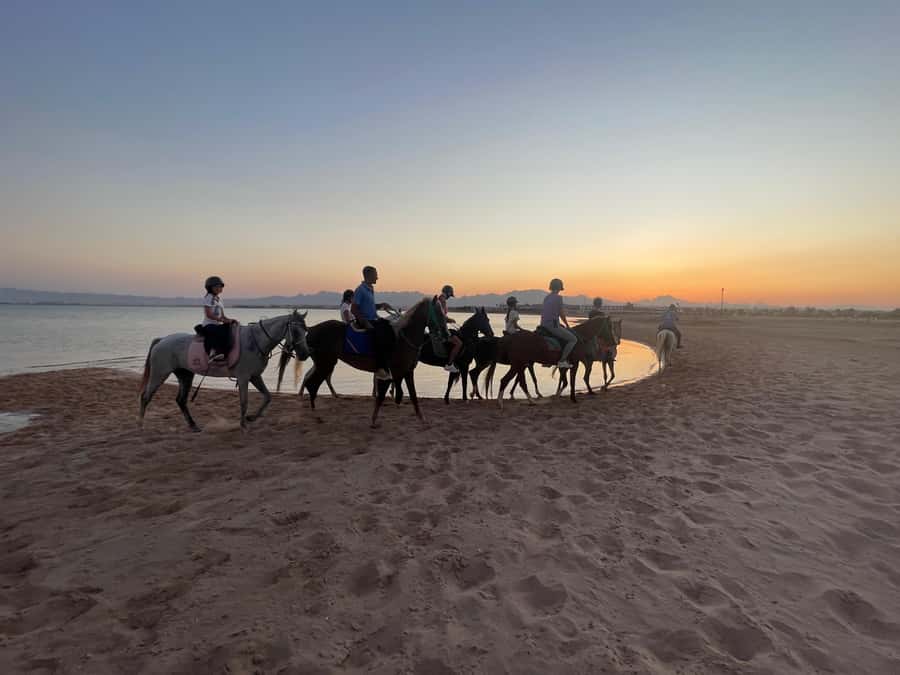 Soma Bay: Horse Riding Beach and Desert Tour With Transfer - Should you book the Soma Bay horse ride?