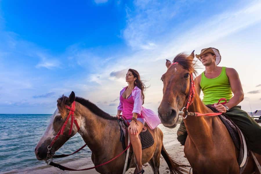 Soma Bay: Horse Riding Beach and Desert Tour With Transfer - Getting comfortable before the two-hour ride