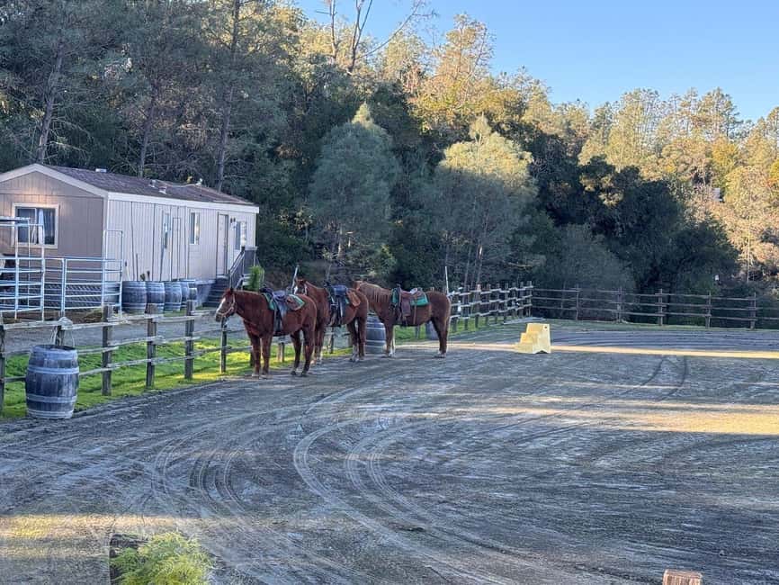Sonoma County: Wine Country Horseback Riding Adventure - Skaggs Vista and Lake Sonoma from the Saddle