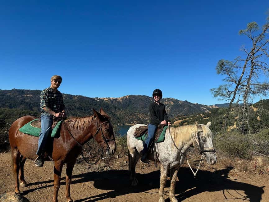 Sonoma County: Wine Country Horseback Riding Adventure - How This Compares With a Winery Stop