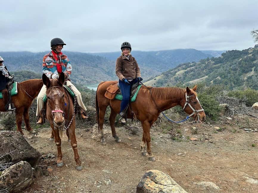 Sonoma County: Wine Country Horseback Riding Adventure - The Dry Creek Valley Half of the Figure Eight