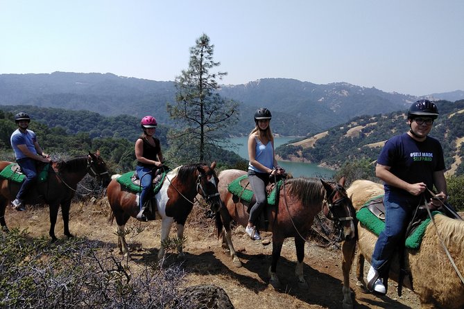 Sonoma Horseback-Riding Tour - A mountain ride above Lake Sonoma
