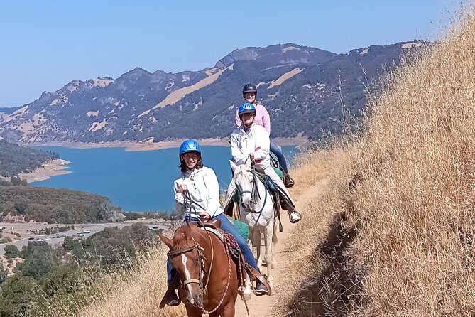 Sonoma Horseback-Riding Tour - The views toward Geyserville and Mt. St. Helena