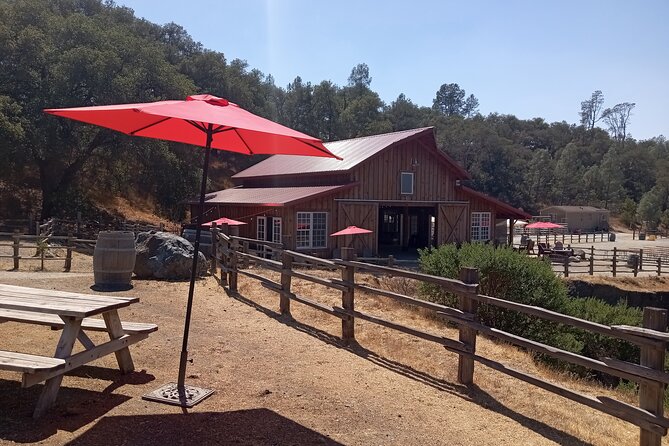 Sonoma Horseback-Riding Tour - What the $129 price includes