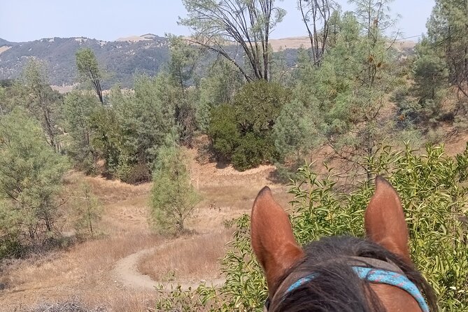 Sonoma Horseback-Riding Tour - What the Southlake Trail feels like