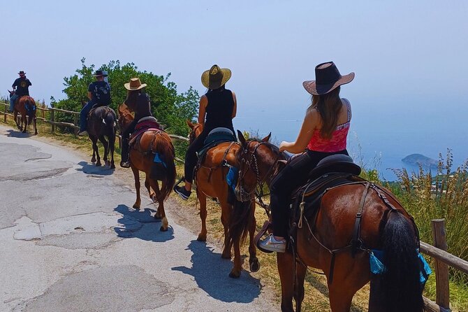 Sorrento Guided Horseback Riding Tour - Key Points at a Glance