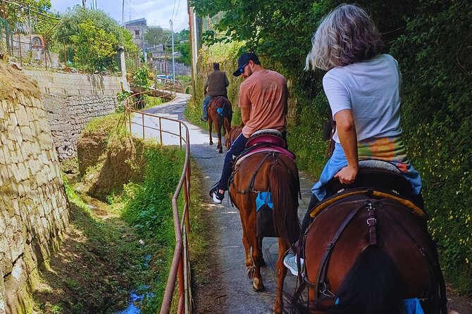 Sorrento Guided Horseback Riding Tour - Riding Toward the Ancient Village