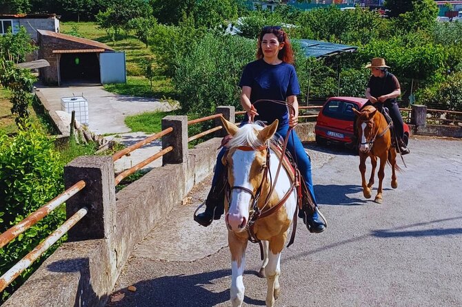 Sorrento Guided Horseback Riding Tour - Is the $90.74 Price Fair?