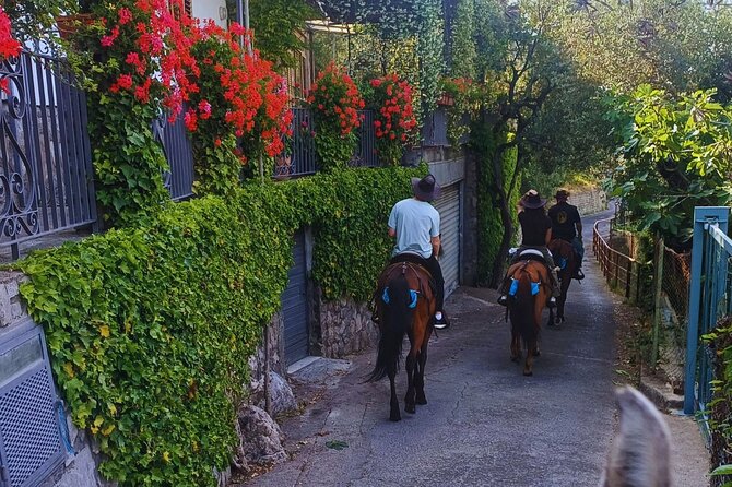 Sorrento Guided Horseback Riding Tour - Who Will Enjoy This Experience Most?