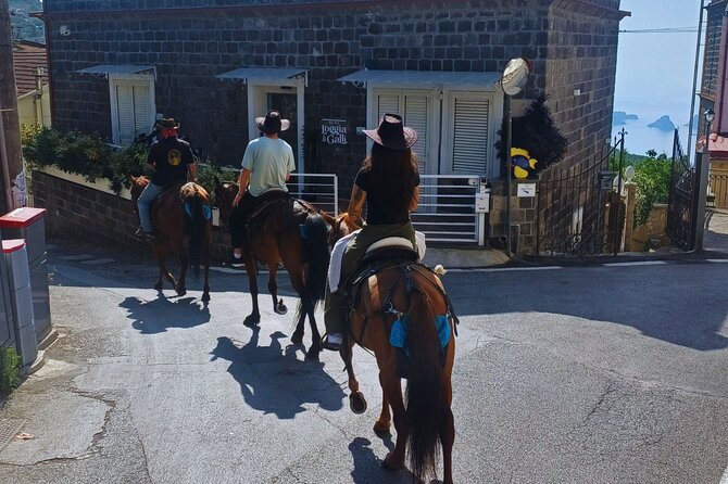 Sorrento Guided Horseback Riding Tour - Timing, Group Size, and Practical Details