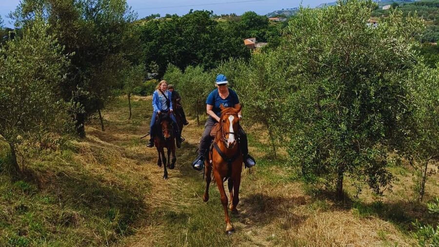 Sorrento: Horseback Riding Tour with Guide - Pineta Le Tore, the route’s high point