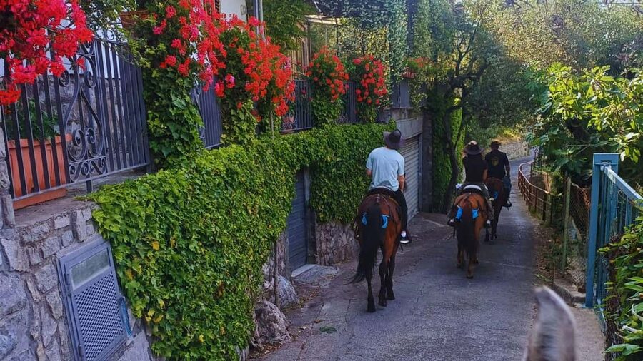 Sorrento: Horseback Riding Tour with Guide - Returning through the woods