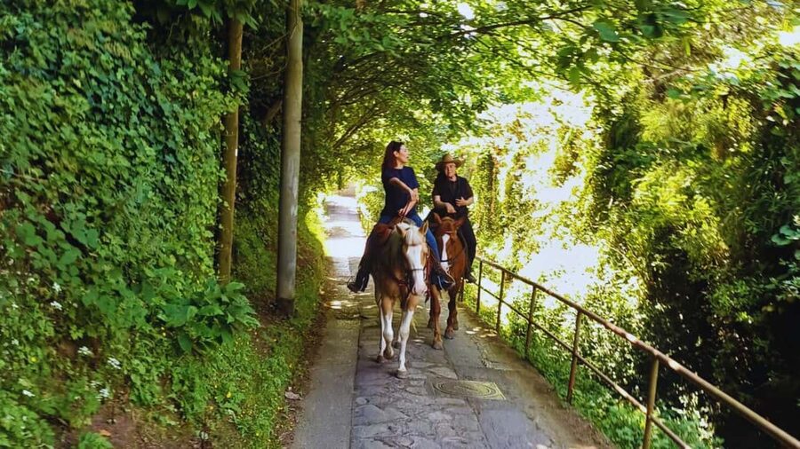 Sorrento: Horseback Riding Tour with Guide - What the $85 price includes