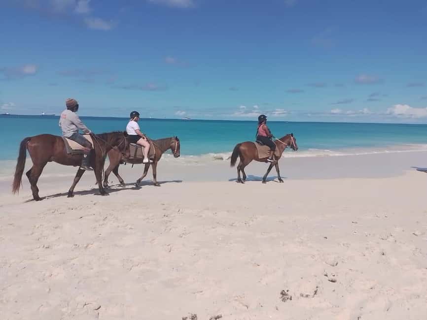 St. Johns: Horseback Riding Bareback Swim, &Fort James Beach - Fort James Beach: one hour to slow down