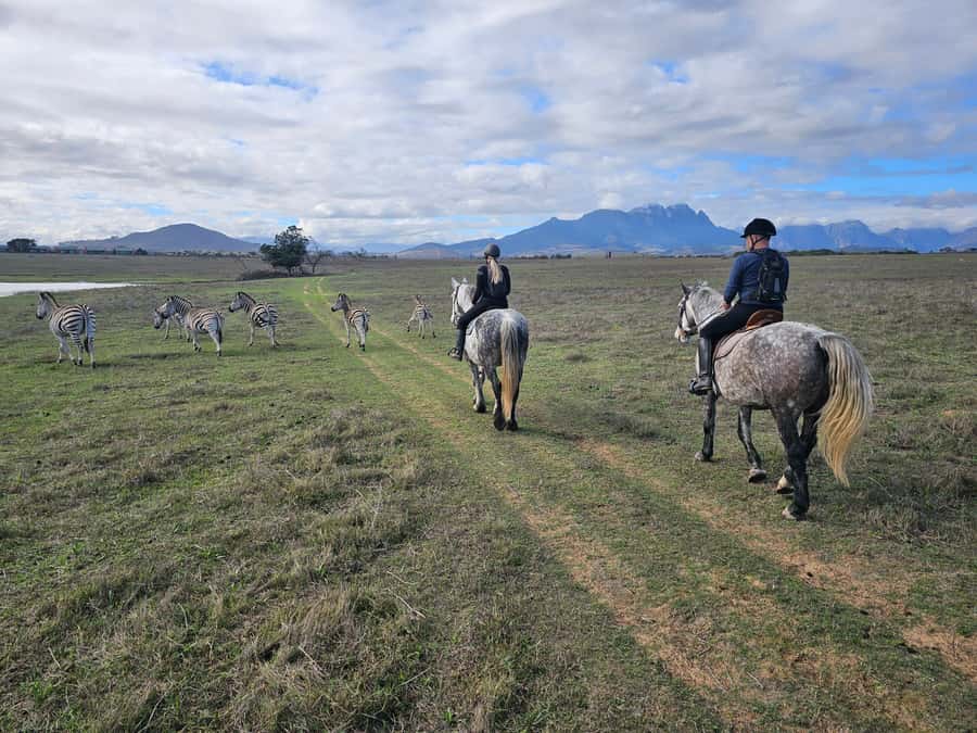 Stellenbosch: Horse Riding Wildlife Safari - Why walking pace is the right speed here