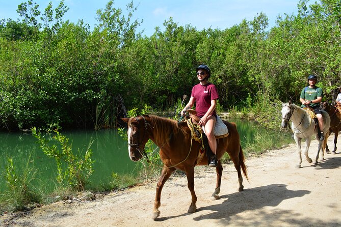 STROLL the Jungle Trails on a HORSE. Includes Transportation and Equipment. - The 45-minute route through jungle and mangroves