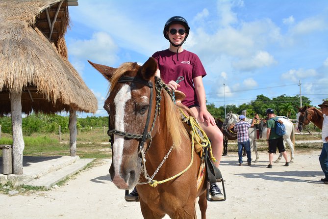 STROLL the Jungle Trails on a HORSE. Includes Transportation and Equipment. - Why the horses and staff matter