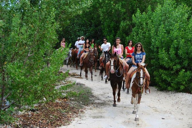 STROLL the Jungle Trails on a HORSE. Includes Transportation and Equipment. - Reaching the white sand at Playa Maroma