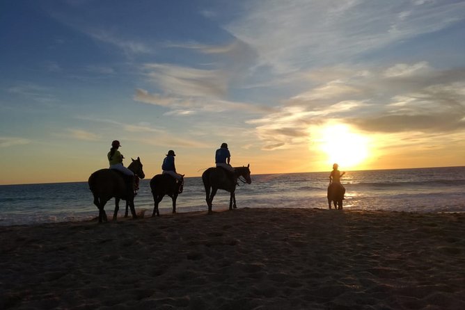 Stunning Sundown Beach Ride on horseback! MINIMUM 2 PARTICIPANTS - What makes the $67.88 price reasonable