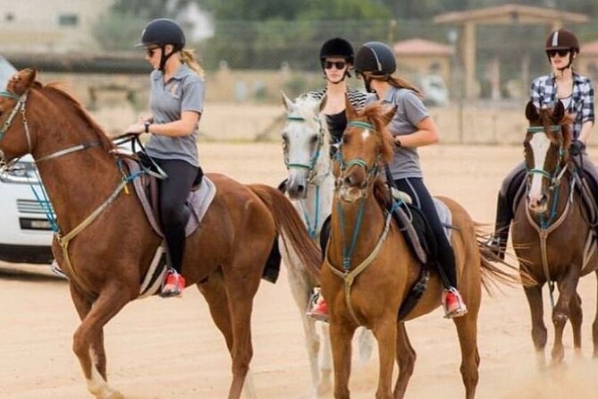 Sunrise Horse Riding Dubai - Is $170 a fair price?