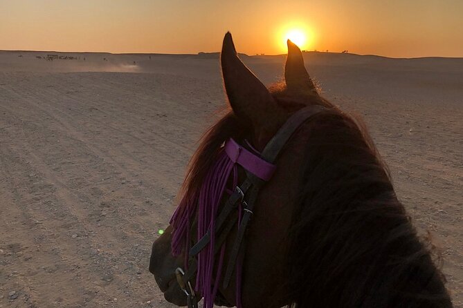 Sunrise Horseback Ride Around the Pyramid of Giza - The horses and guide matter more than the low price