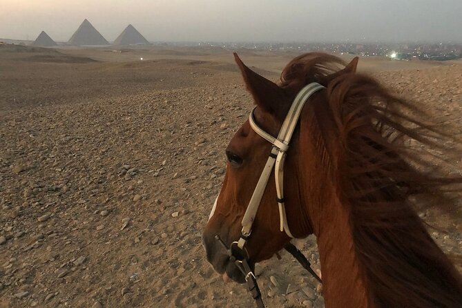 Sunrise Horseback Ride Around the Pyramid of Giza - Sunrise photos, desert views, and the timing tradeoff