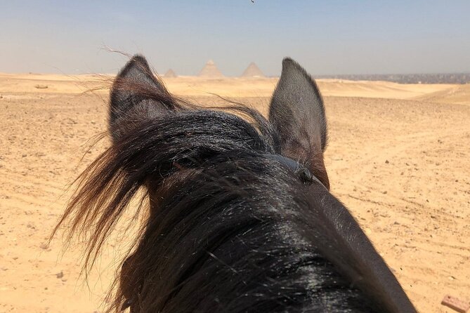 Sunrise Horseback Ride Around the Pyramid of Giza - What the private format means for you
