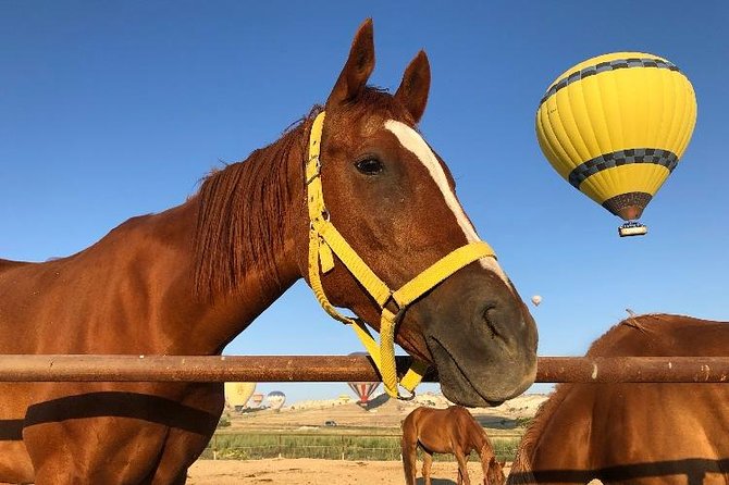Sunrise Horsebackriding Tour in Cappadocia - Swords Valley: fairy chimneys from the saddle