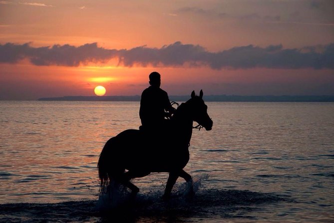 Sunset Beach Horseback Riding - Key points at a glance