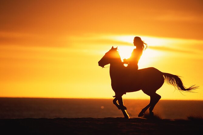 Sunset Beach Horseback Riding - Guides, horses, and the feel of the group