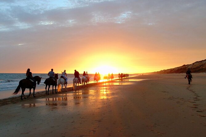 Sunset Beach Horseback Riding - Pickup limits and timing details