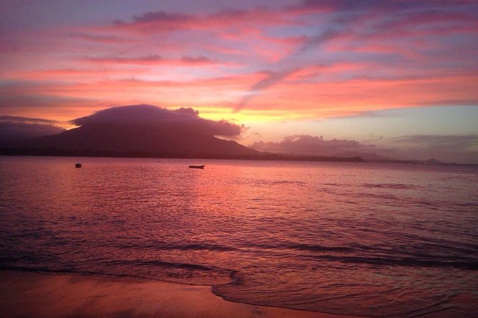 Sunset Beach Horseback Riding - The possible horse swim
