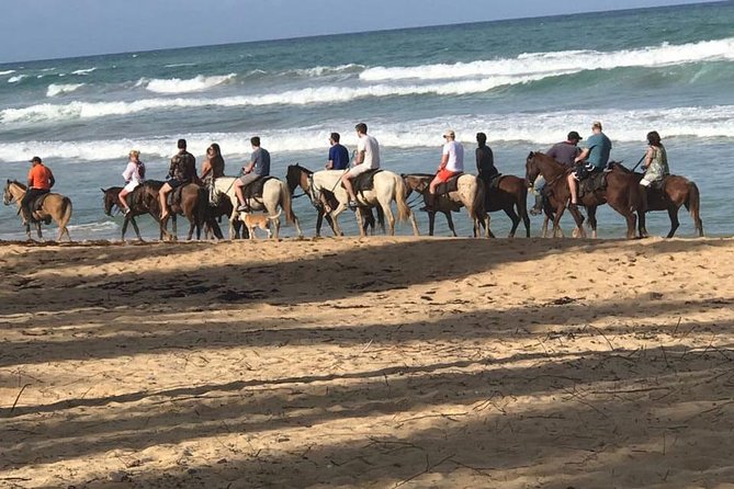 Sunset beach horsebackriding Punta Cana - Key Things to Know Before You Book