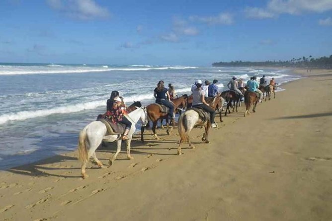 Sunset beach horsebackriding Punta Cana - Photos, Coconut Water, and the Sales Stop