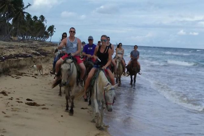 Sunset beach horsebackriding Punta Cana - Horse Care and Safety: The Important Caveat