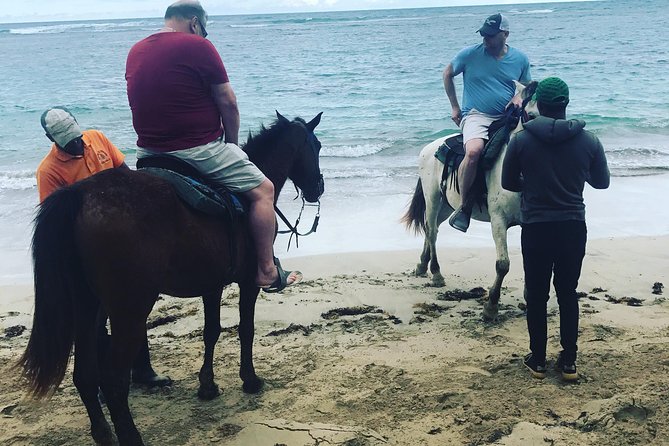 Sunset beach horsebackriding Punta Cana - What You Get for $57.15