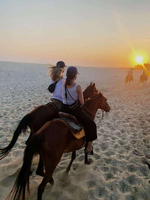 Sunset by Horse on the Beach - Meeting the local riders and horses