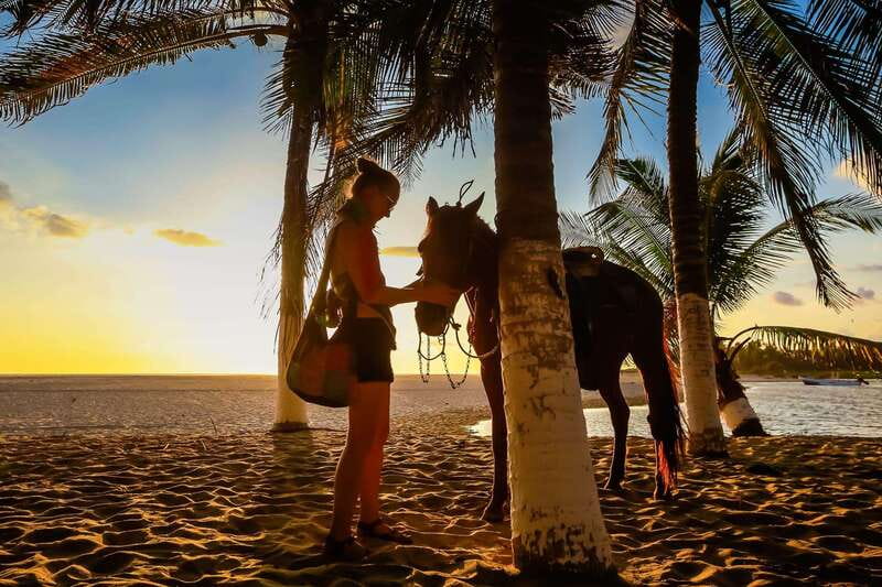 Sunset by Horse on the Beach - Reaching the beach before sunset