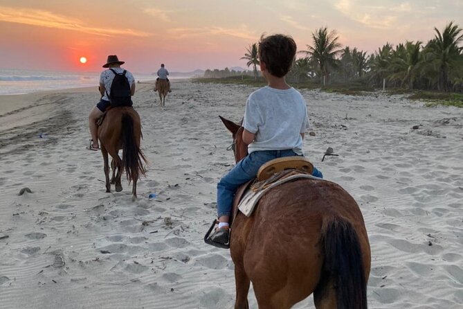 Sunset by horse (river and beach) - From Puerto Escondido fields to the Manialtepec River