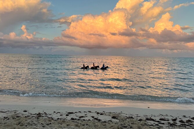 Sunset Horse Ride Experience - Riding along the beach at golden hour