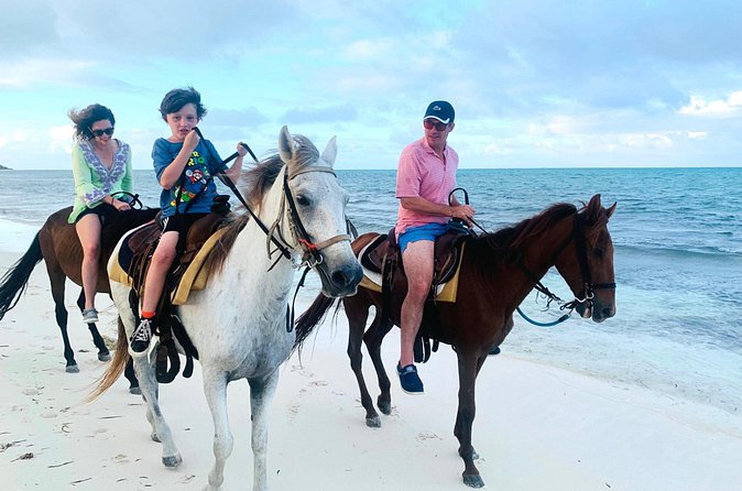 Sunset Horse Ride Experience - Horse care is the main point to consider