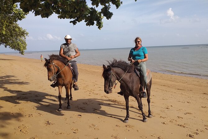 Sunset Horse Riding And BBQ Dinner Tour At Ao Nam Mao Beach Krabi - What beginners and children can expect