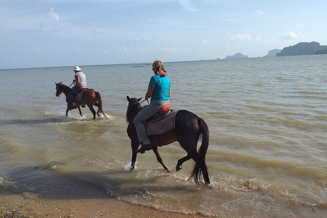 Sunset Horse Riding And BBQ Dinner Tour At Ao Nam Mao Beach Krabi - Who will enjoy this Krabi evening most