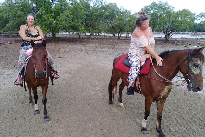 Sunset Horse Riding Tour at Ao Nam Mao Beach Krabi - A serious point about horse welfare