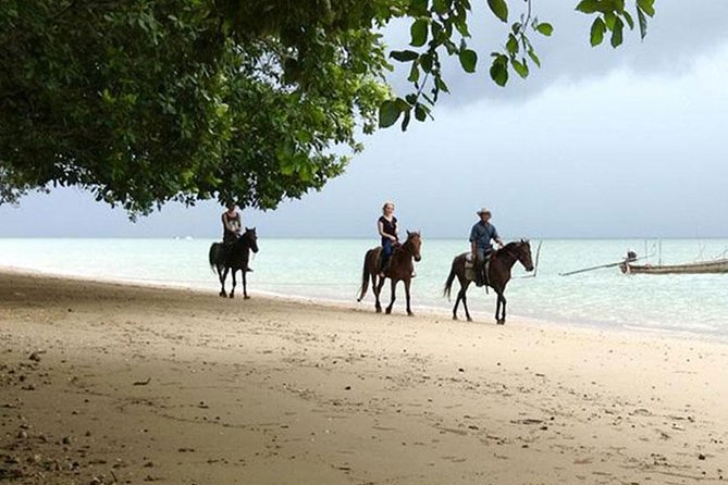 Sunset Horse Riding Tour at Ao Nam Mao Beach Krabi - Who should book this ride