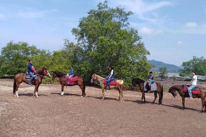 Sunset Horse Riding Tour at Ao Nam Mao Beach Krabi - What beginners can expect in the saddle