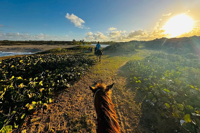 Sunset Horseback Ride at Macao Beach & Forest with Transfers - Why Macao Beach makes a good riding setting