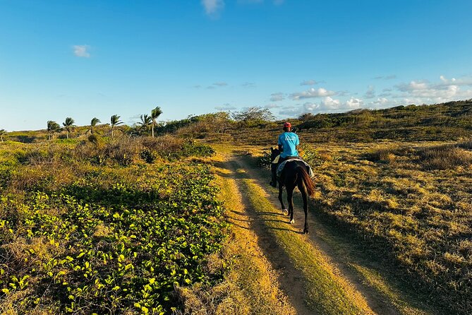 Sunset Horseback Ride at Macao Beach & Forest with Transfers - Rio Maimon adds a quieter second scene