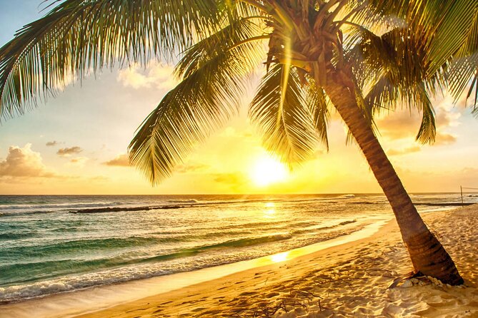 Sunset Horseback Ride at Macao Beach & Forest with Transfers - The 15-minute souvenir stop